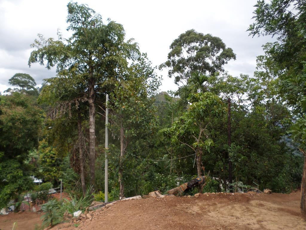 Jaye's Homestay Ella Luaran gambar
