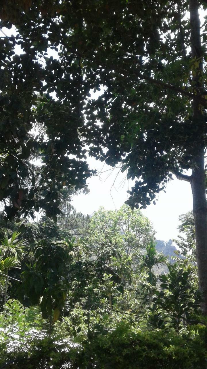 Jaye's Homestay Ella Luaran gambar